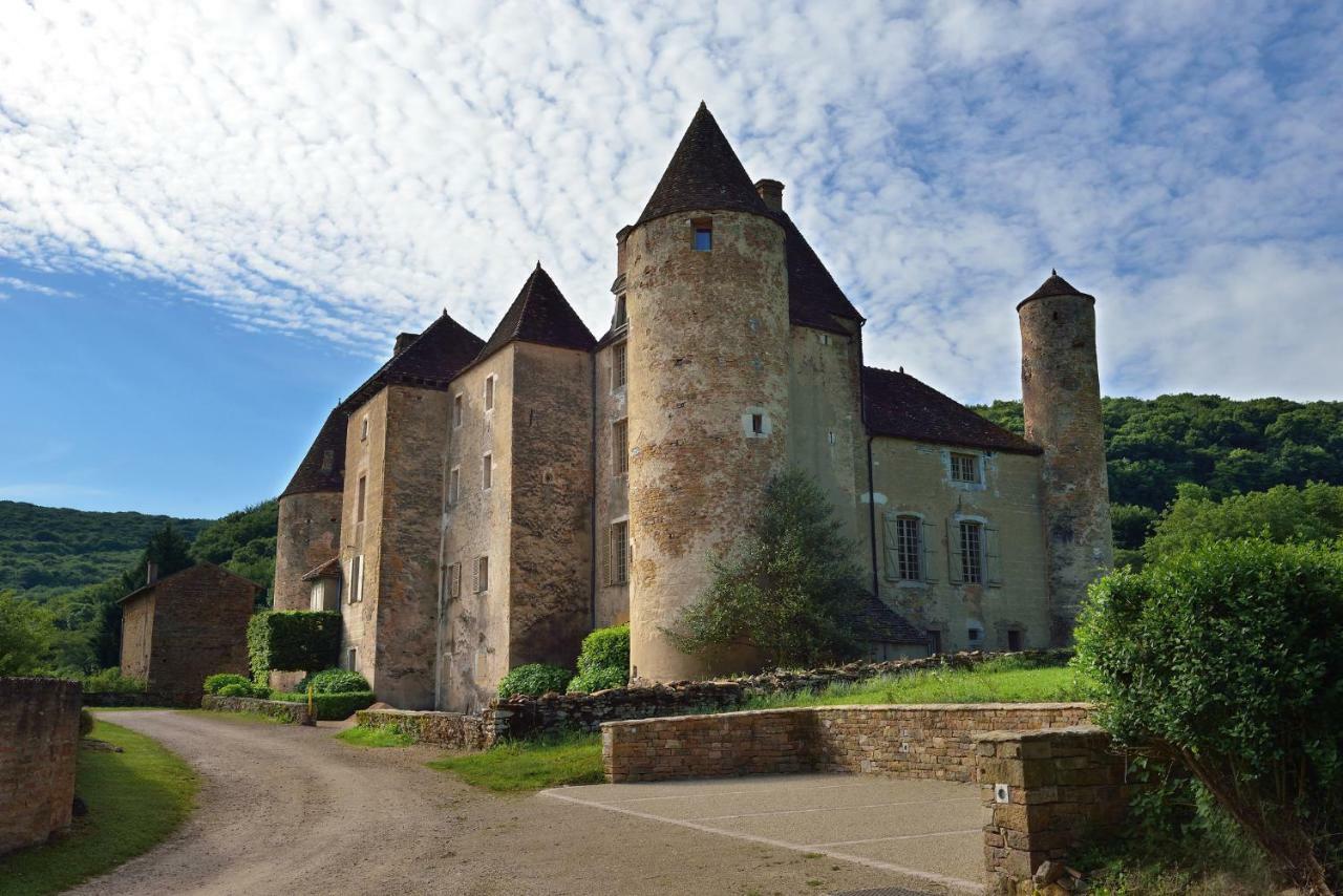 Chateau De Balleure Etrigny 外观 照片