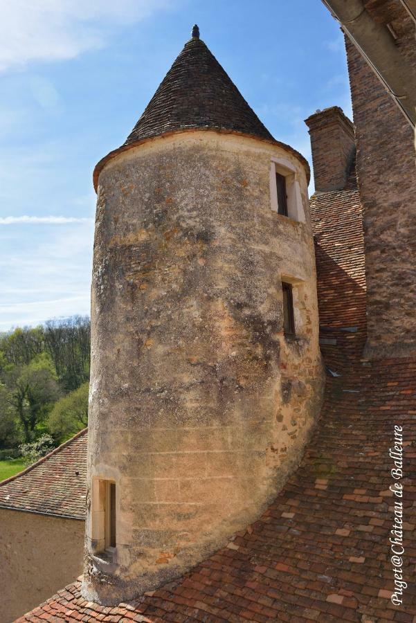Chateau De Balleure Etrigny 外观 照片