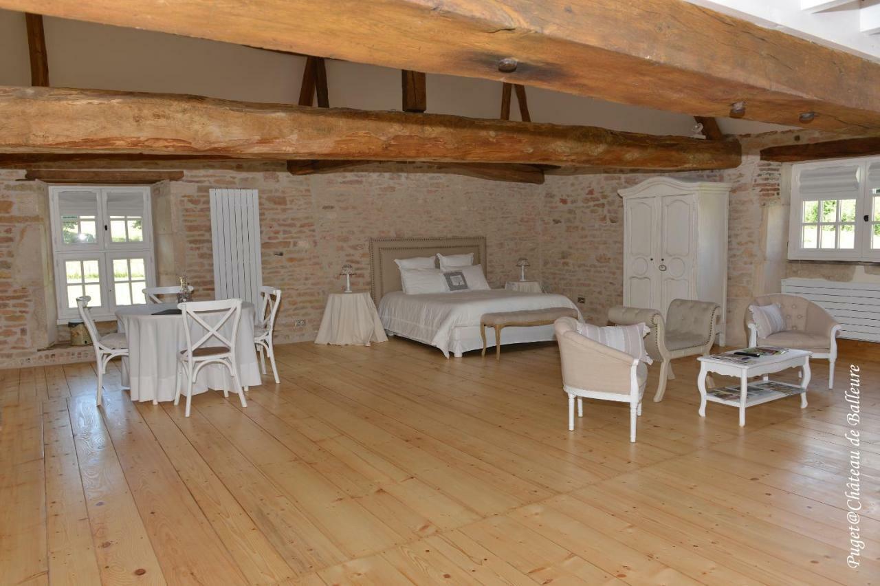 Chateau De Balleure Etrigny 外观 照片